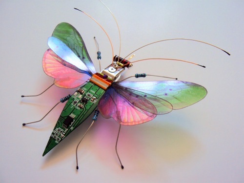 itscolossal: New Winged Insects Constructed from Video Game and Computer Components