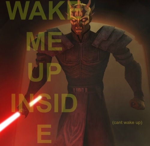 darth-maul-official:what tthe fuck have we done