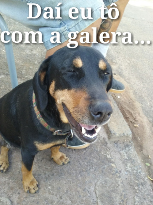 mebjaaa:  gente kkkk