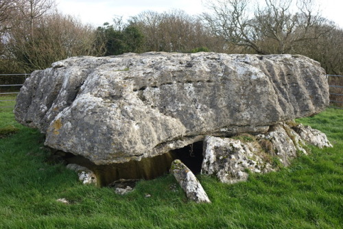 Lligwy Burial Chamber, Anglesey, North Wales, 25.11.17.This chamber was constructed towards the end 