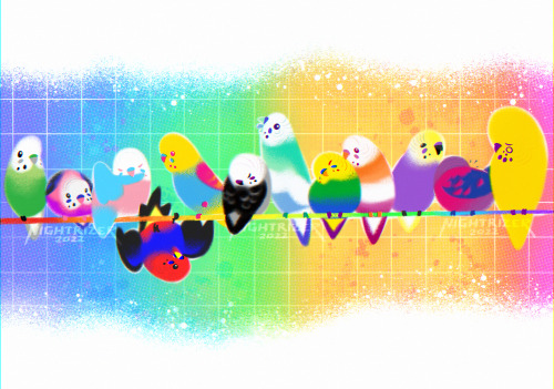 nightrizer: Pride Budgies!  ❤️