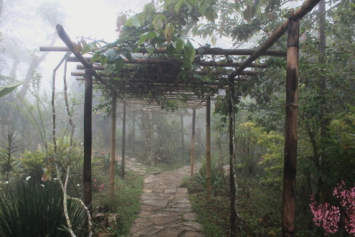 venus-garden - Jardín Botánico Xoxocticflickr / vscogrid /...