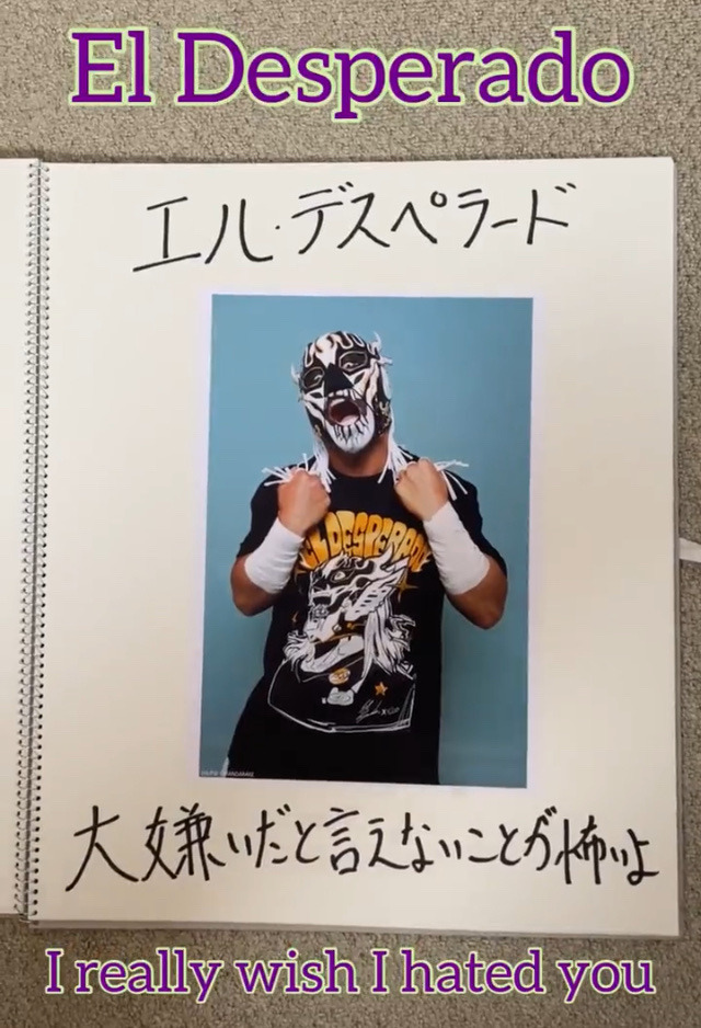 picture of despy's page in hiromu's best of the super juniors B block book. despy is making a cute face. the caption says 'i really wish i hated you'