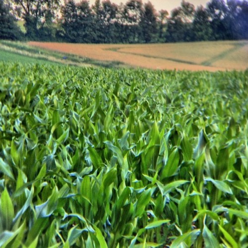 Field shot HDR clip on zoom lens