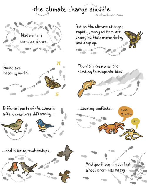 birdandmoon:  Here’s new comic about a deeply complicated issue. Let me know how you think I did! So much research went into this one. There’s a story behind every critter. On my site, in case it’s too small on tumblr. 
