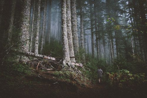 robsesphoto:Missing Oregon part 2… Cant wait for new adventures later this year…w