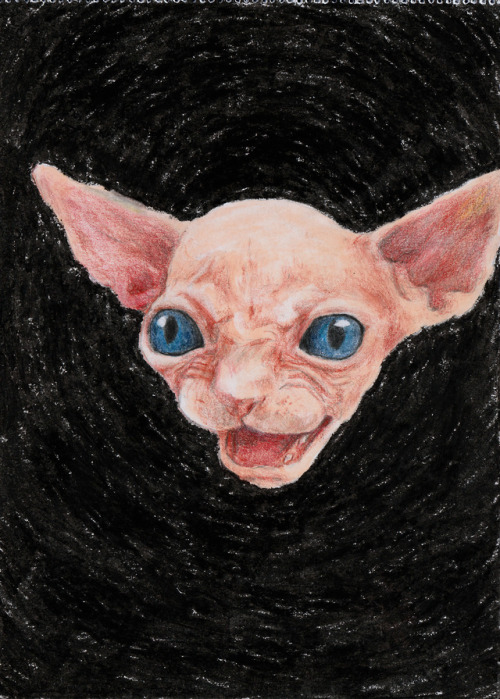 Sphynx, 2019Crayon, watercolor and pencil colors