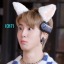 kittzy