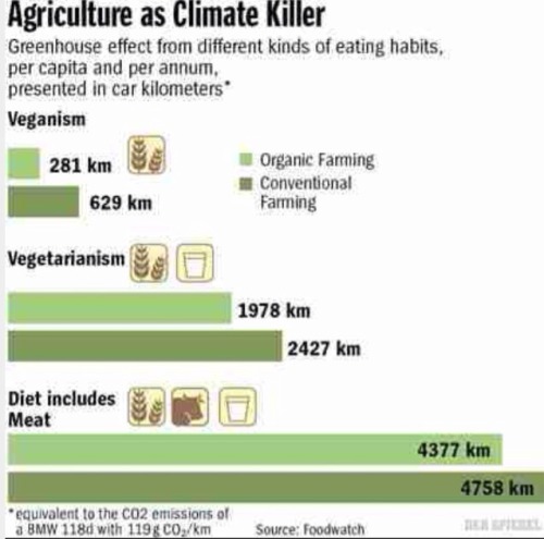 veganmovement2012:  There is no such thing as a meat, cheese, milk, egg-eating environmentalist. Excerpt from Adaptt.org    Meat-eating environmentalist = Oxymoron Animal Agriculture and Environmental Destruction  Many people who fancy themselves to be