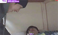 jungdeul:  sleepydeul 