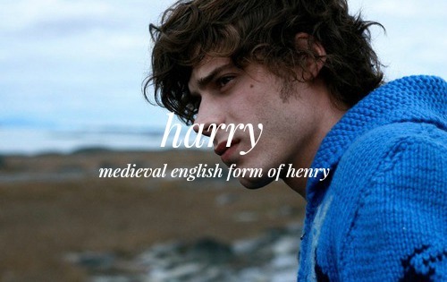 grifflake:  anonymous requested harry potter characters + name meanings 
