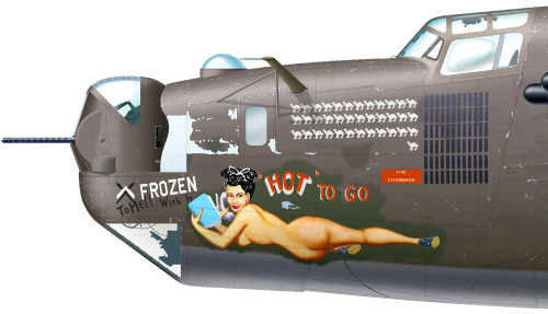 donotdestroy:  Consolidated B-24 Liberator Aircraft illustration 