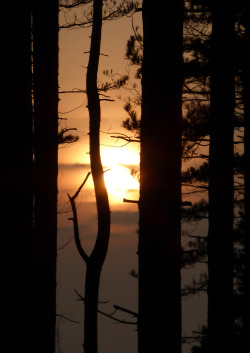 visual-ephemera:  Sunset, Formby