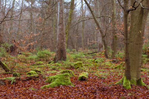 marcel-photos: Hiking Impressions - Edersee, Hessen, Germany Photography by Marcel Briefs, 2015, CC 