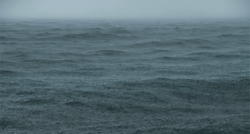theanomynousmonsters:transf0rmer:aqua-rius:fearlings:i can always sit and watch the way the rain hit
