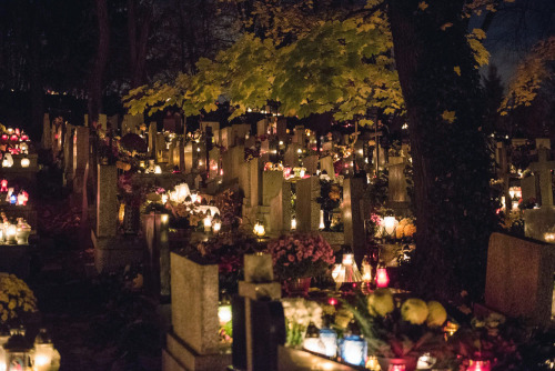 lamus-dworski: Podgórski Cemetery in Kraków, Poland on the evening of All Saints Day. 