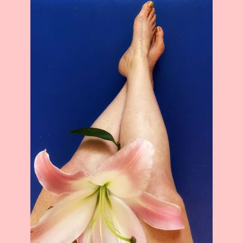 Come smell my flower&hellip;. The lily in the photo, you #dirty minded #freak&hellip; #footworship #