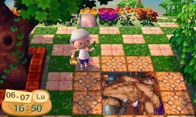 kawaii-bara:  ACNL