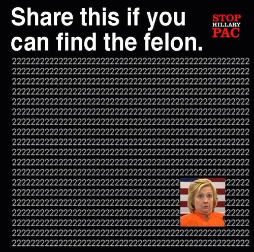 Reblog once you find the felon!