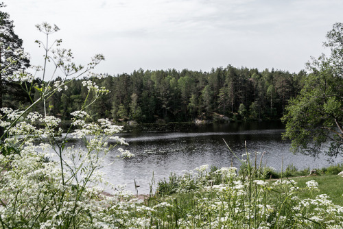 z Nøklevan do Hauktjern