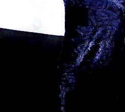 Jenniferlawrencedaily:  Photographer: Over The Shoulder, Jen! (X) 