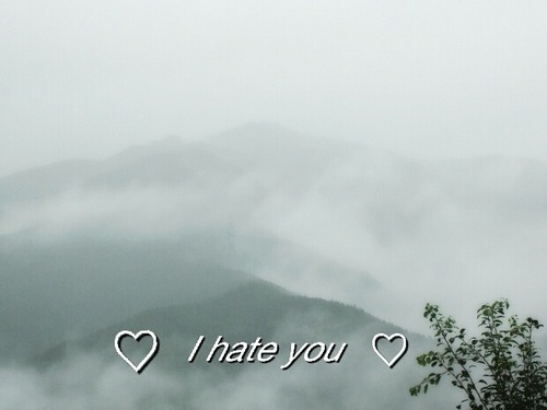 lovelyskinny-bitch:  I hate you