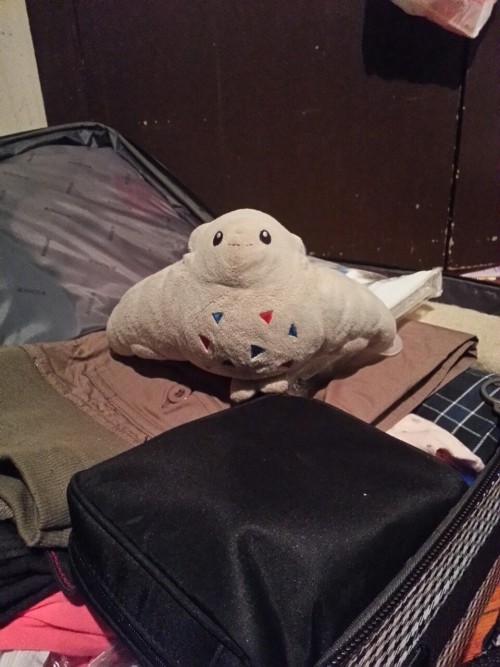 togemiss:I am all packed for Florida now! I’ll be outta NYC in...