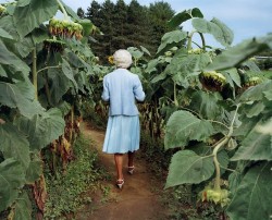 nwaj: Sheron Rupp, “Trudy in Annie’s Sunflower Maze, Amherst, MA” (2000) © 2018 Sheron Rupp