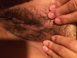 Hairybbwpussies:  Jfjfr33:  Jfjfr33:Mmmm Getting That Hairy Pussy All Wet And Ready