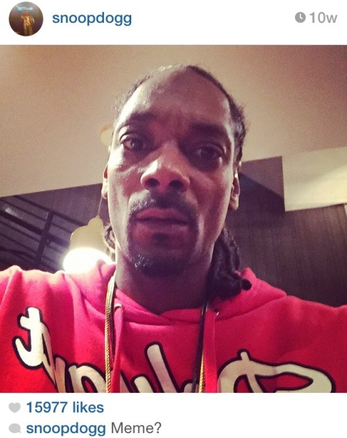 foxmulder:starshipspirk:  anustartpop:  snoop dog trying to become a meme has become a meme  Another pic for meme?