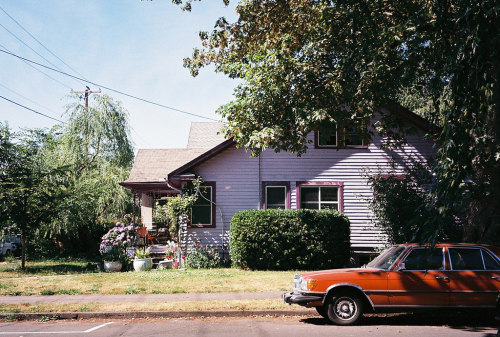jacindaelena:      Drew Stefani || Portland, Oregon 