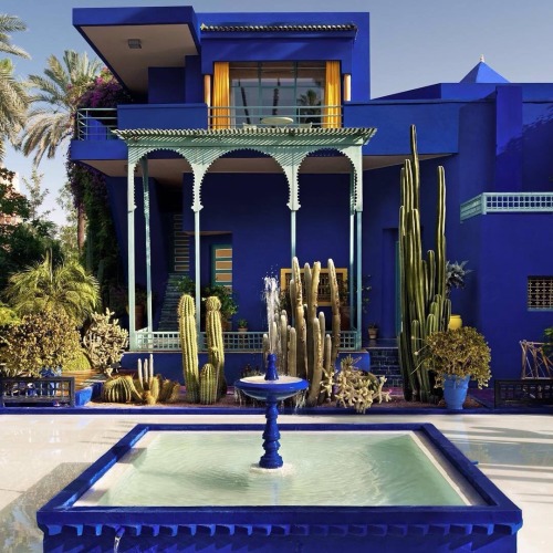 monbeaumaroc - Majorelle gardens, Marrakech, Morocco.