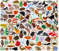 Collectorsweekly:  Every Day Is Earth Day! Charley Harper’s Mid-Century Masterpiece