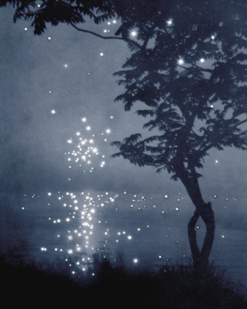 nevver: Constellations of summer, Amy Friend