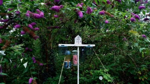 Feeding Station.