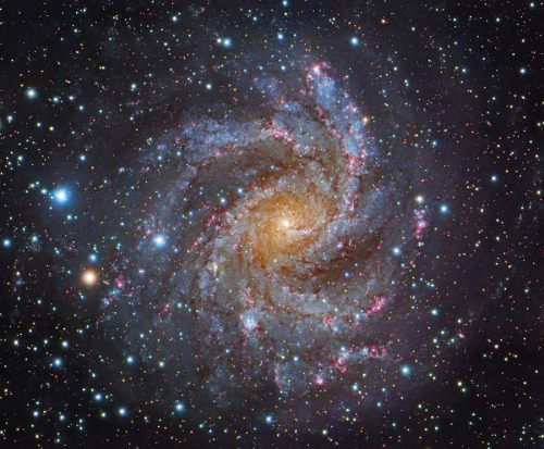 gravitationalbeauty:Facing NGC 6946 