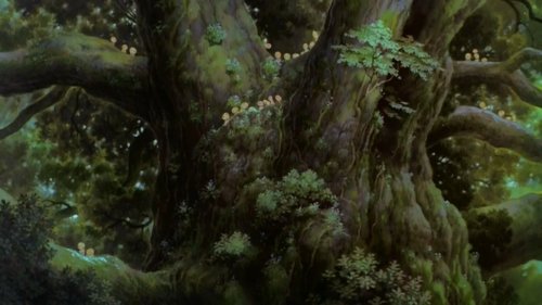 susuwatori:  the forest of the spirits