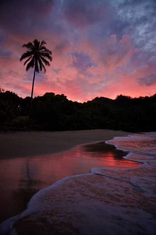 jamas-rendirse:  Paradise in pink, by Darren Umbsaar.