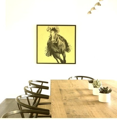 Contemporary Dining Room - Dining RoomMedium-sized Modern Enclosed Dining Room With White Walls And No
