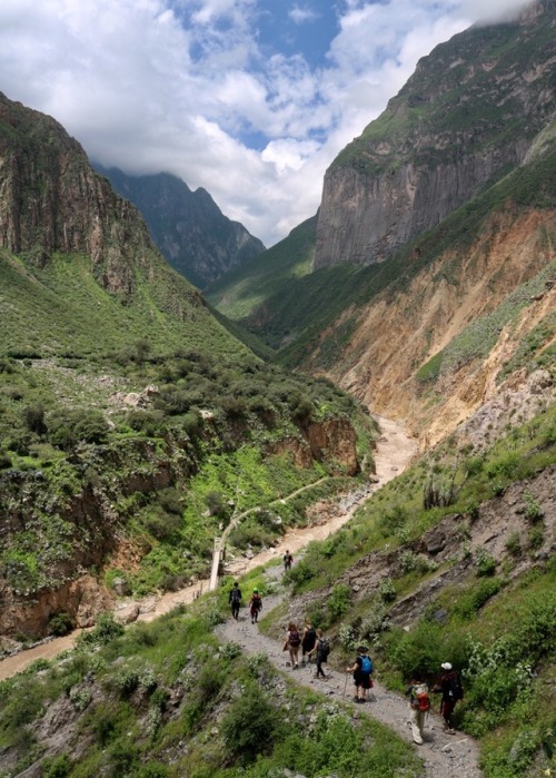 Colca CanyonLeaving from Arequipa, we went on a two day, one night trek into the canyon - the second