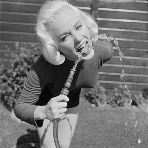 Porn littlebunnysunshine:  Mamie Van Doren photos