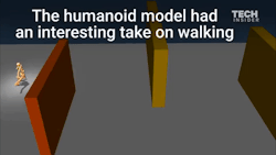 birdskull-fr:  the-man-who-sold-za-warudo:  confused-junkrat:  danbensen:  antler-doe:   Google’s DeepMind AI just taught itself to walk   He walked into my office like an evolutionary algorithm that had just taught itself to walk. “Get out of here,