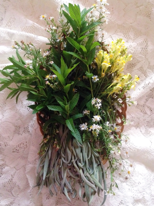xpiritual: floralwaterwitch: ~ fresh herbs and wildflowers I gathered a few days ago ⛅️ most likely 
