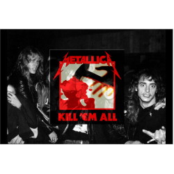 dominadeflamma:    Metallica studio albums 