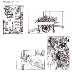 mochipanko: ink studies of my Amsterdam trip in July ´18