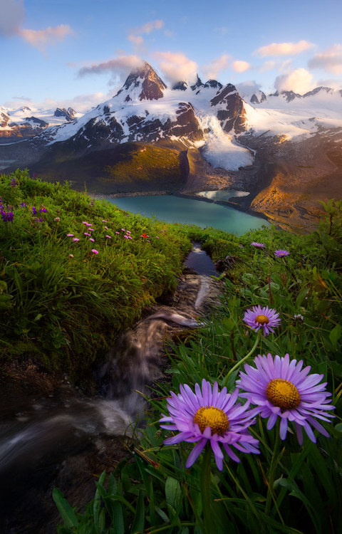 drxgonfly: Source (by David Young)British Columbia, Canada