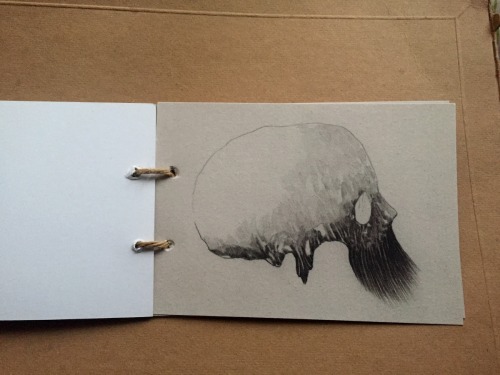 littleworries: made an odd little book of skulls. you can have it if you like.   reblog this po