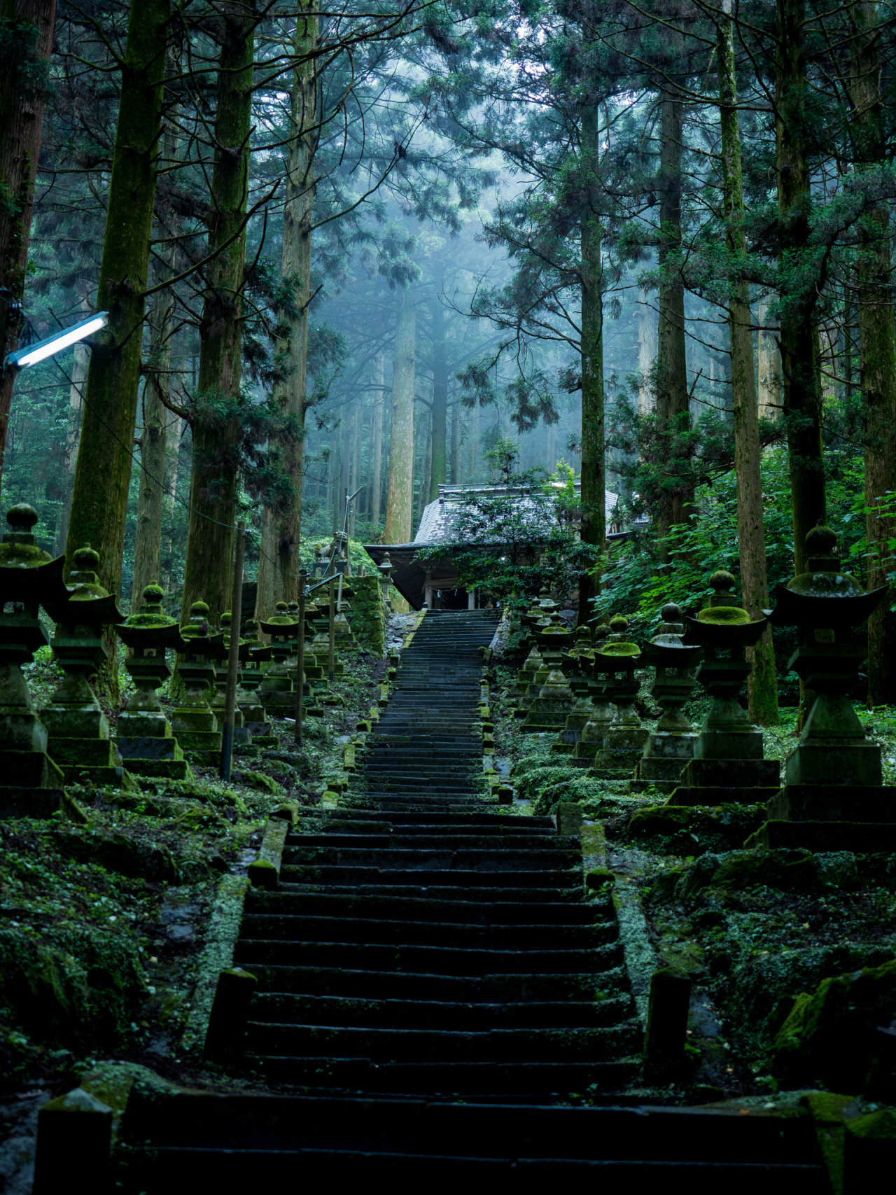 wanderlustjapan:    上色見熊野座神社  by  ひろやん