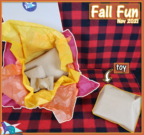 MY NEW FERRET MYSTERY BOXES ARE OUT!This month’s theme is: “Fall Fun 2021″The theme is a redo of my 