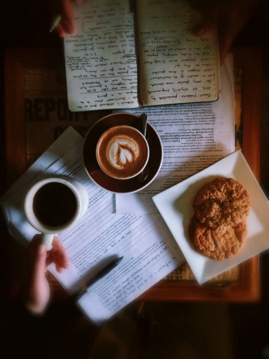 jadalys:Bonjour…